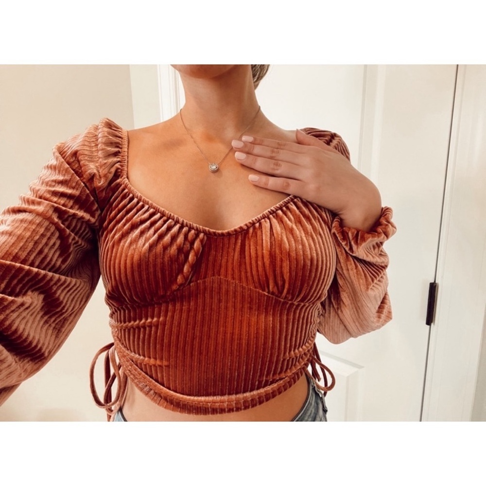 NWOT Sophie Rue Velvet Crop Top